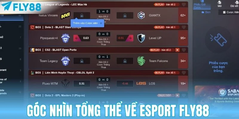 Góc nhìn tổng thể về Esport FLY88